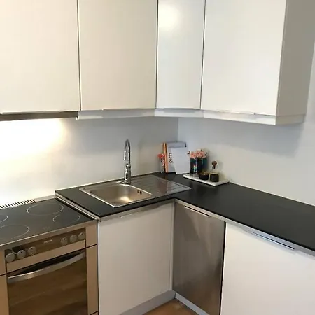 Daire Modern & Central Studio Behind The Royal Palace! Oslo